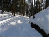 St. Ulrich / Šenturh - Aussicht Petelinz